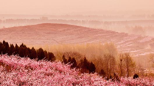 918������(�й���)�ٷ���վ